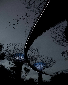 Foto Bayangan hitam sayap dan putih
 langit