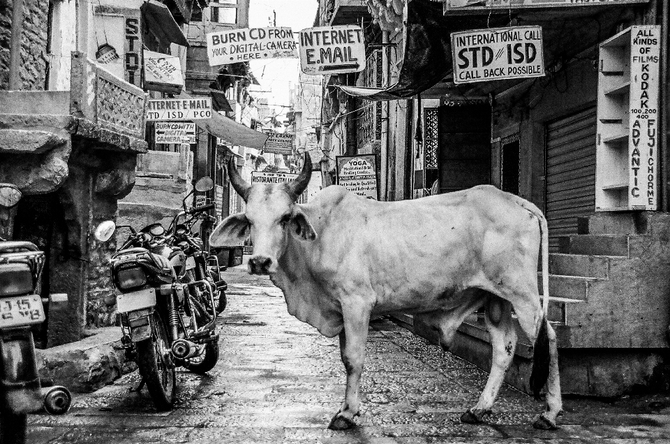 Black and white road street