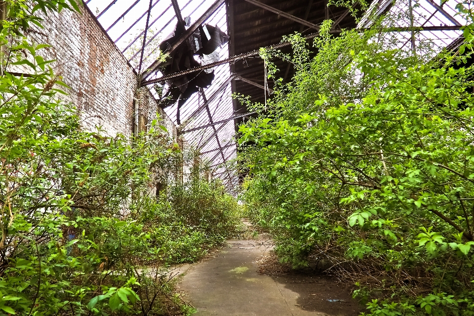 Baum die architektur anlage pfad