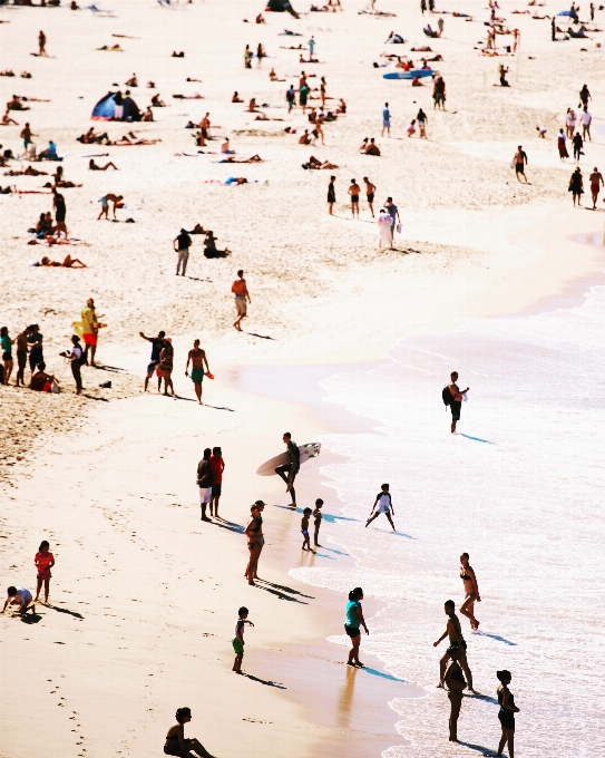 Beach sea sand season