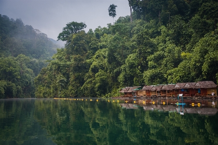 Foto Paisaje agua naturaleza bosque