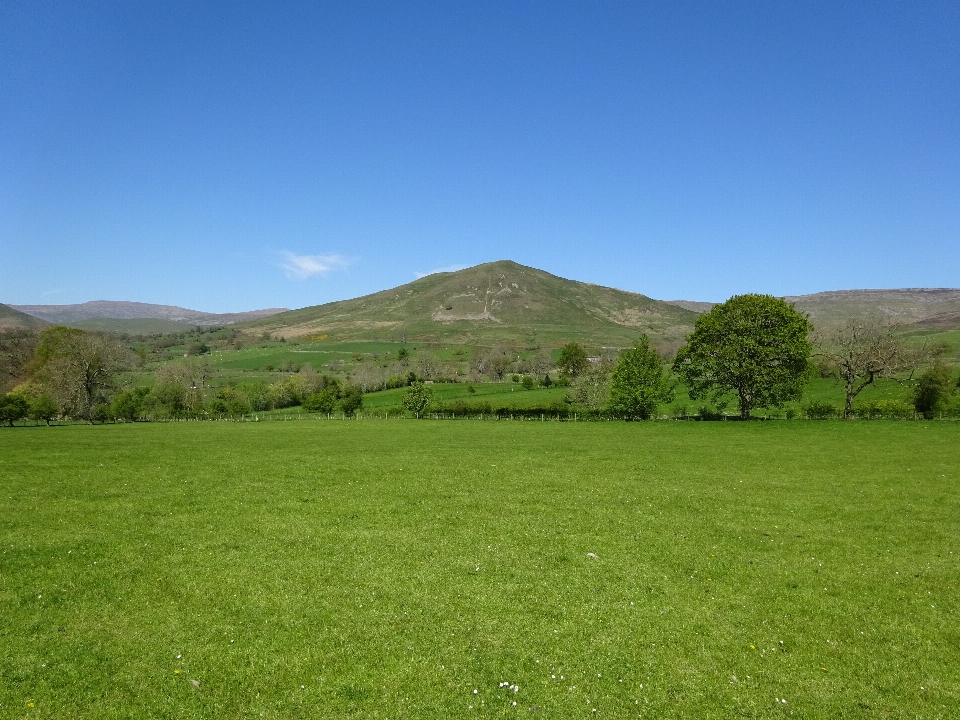 Paysage herbe montagne champ