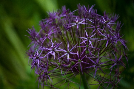 Landscape nature grass plant Photo