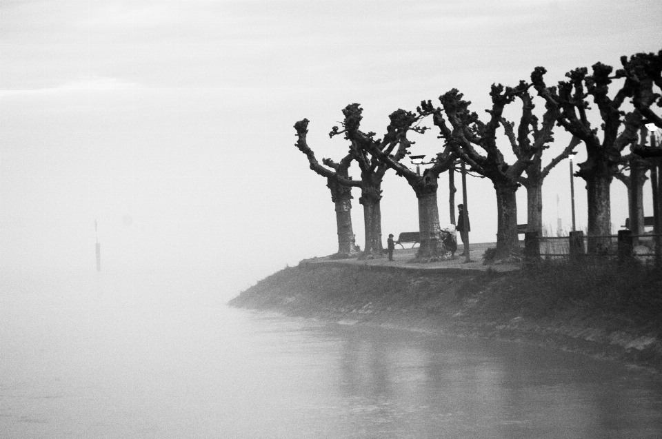 Acqua bianco e nero
 nebbia