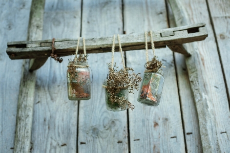 Wood twig bird feeder Photo