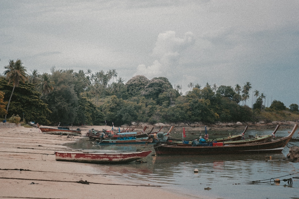 Beach sea coast boat