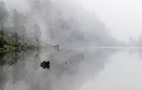 Snow fog mist morning Photo