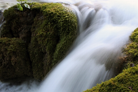 Landscape water nature forest Photo