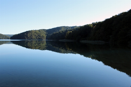 Landscape water nature forest Photo