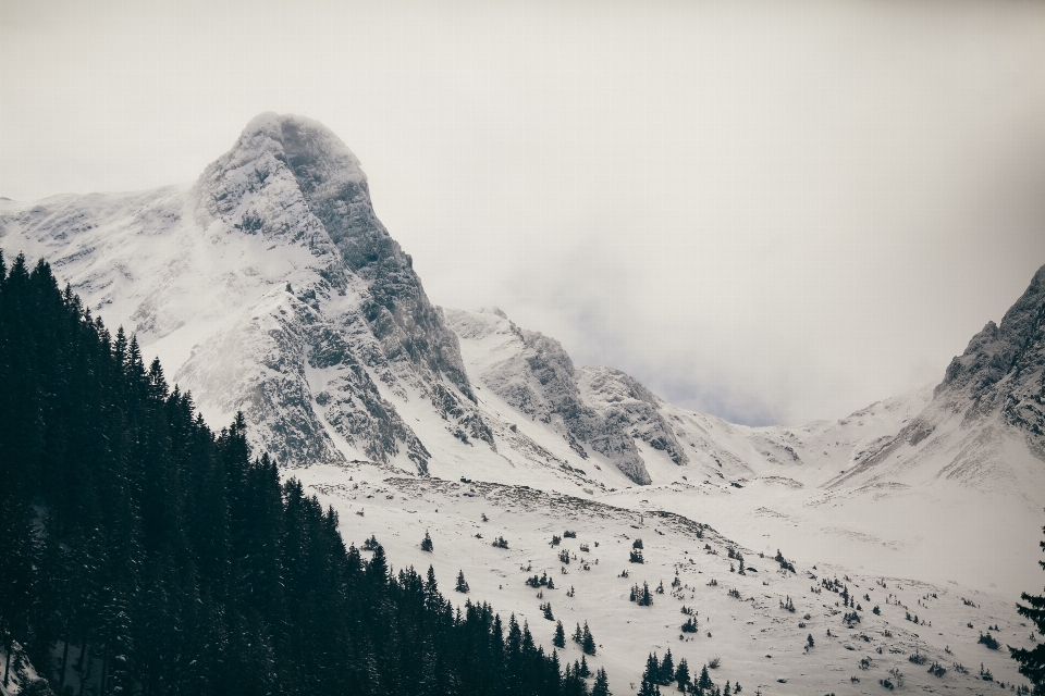 Naturaleza montaña nieve invierno