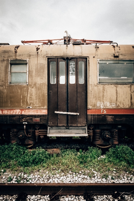 Acompanhar trem transporte veículo