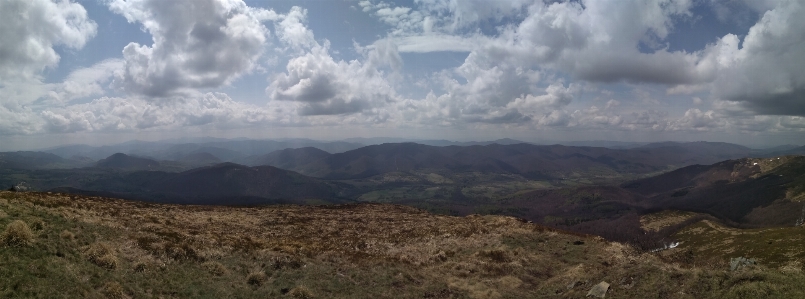 Landscape forest wilderness mountain Photo