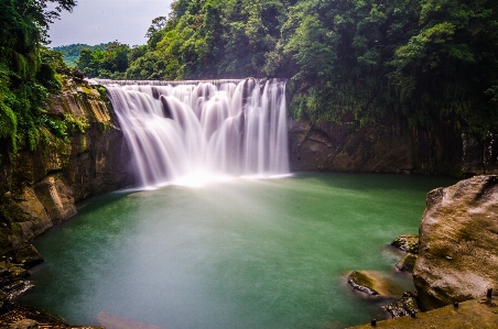 風景 木 水 自然 写真