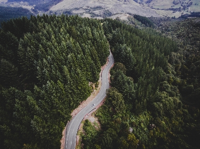 木 森 山 山脈
 写真