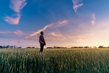 Nature grass horizon cloud Photo