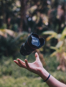 Foto Mano fotografia fiore primavera