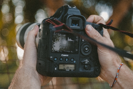 カメラ 写真撮影 リフレックスカメラ
 デジタルカメラ
 写真