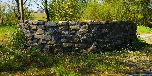 树 水 rock 建筑学 照片