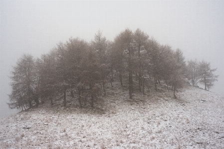 木 森 雪 冬 写真