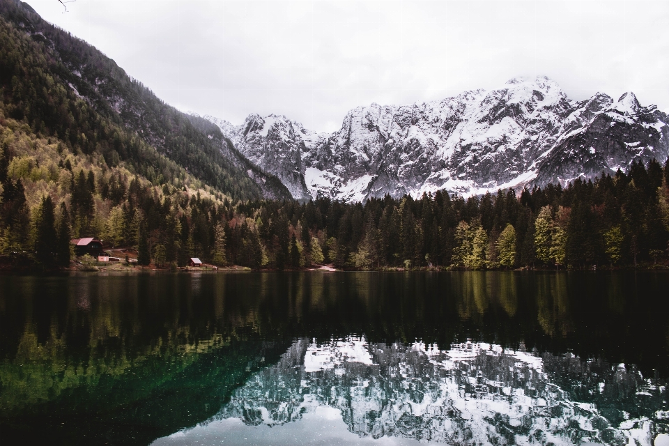 風景 木 水 自然