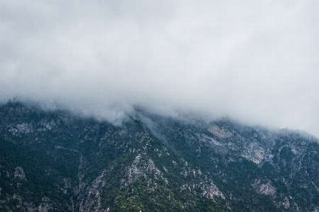 Nature forest mountain snow Photo