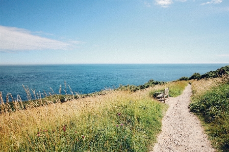 Beach landscape sea coast Photo