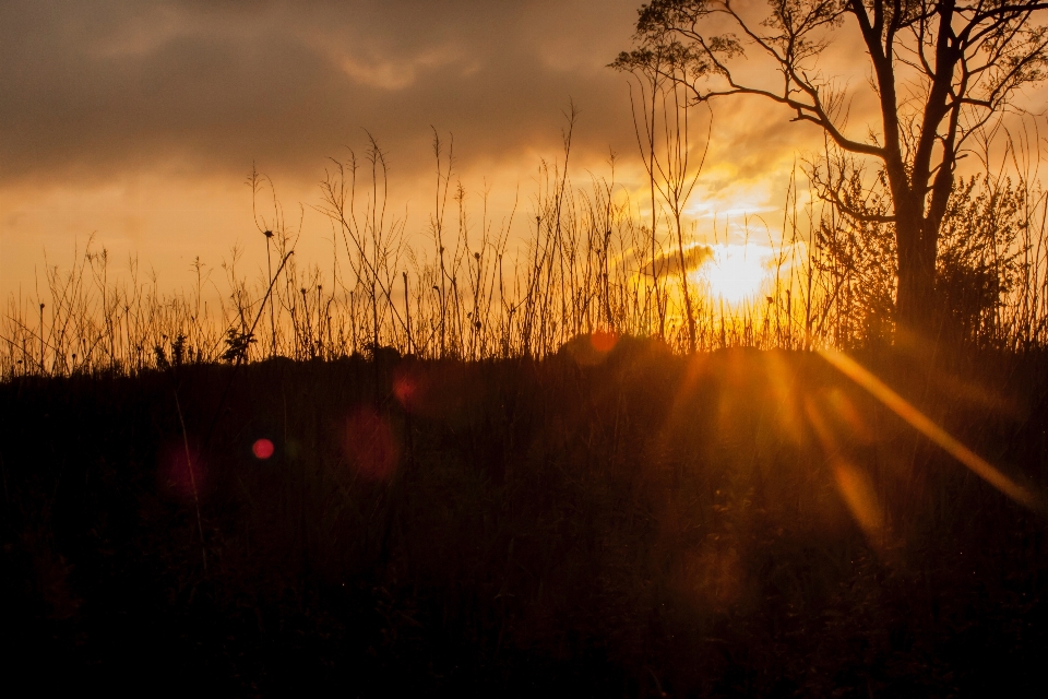 Luz sol amanecer atardecer