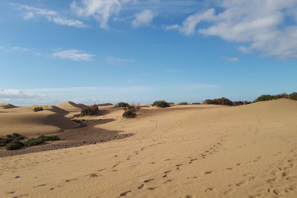 Playa paisaje naturaleza arena