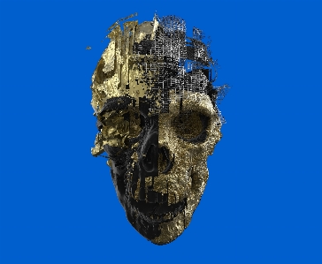 Skull sculpture art illustration Photo