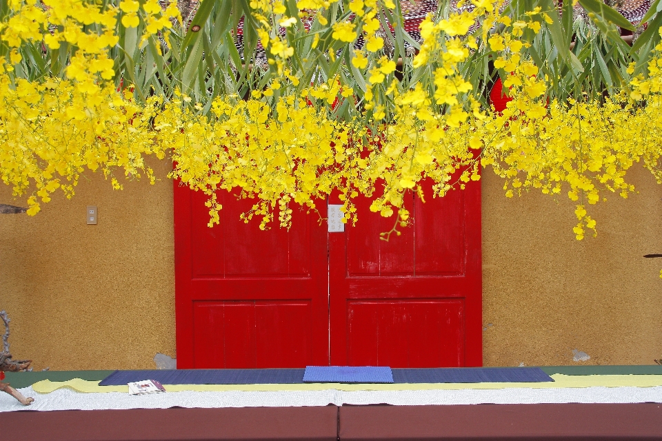 Tree plant flower wall