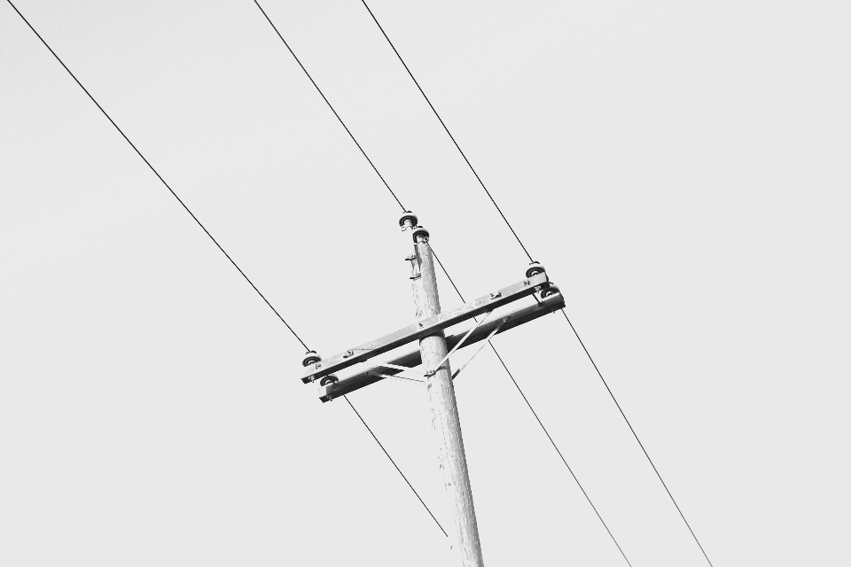 Antenna linea albero disegno