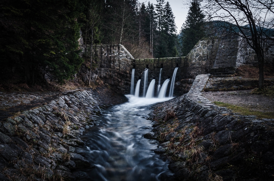 Paesaggio acqua natura foresta