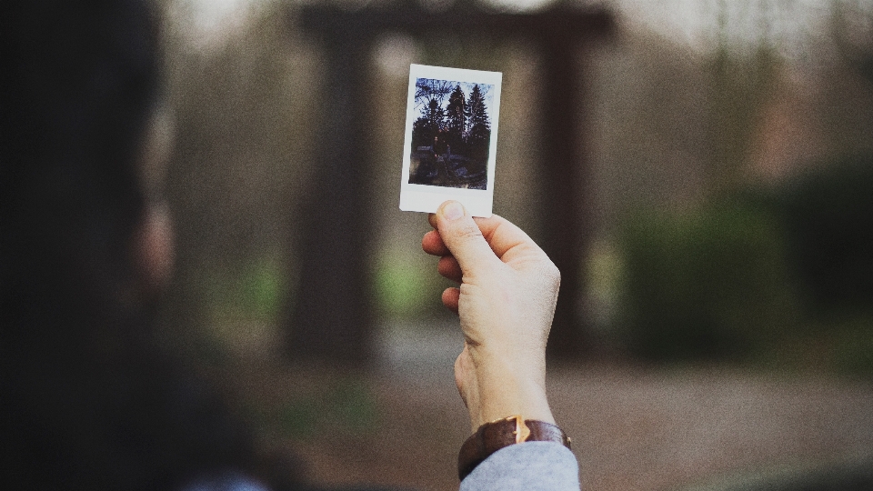 Ręka światło fotografia słoneczne