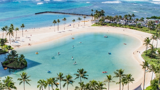 ビーチ 海 海岸 海洋 写真