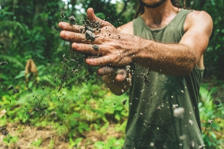 Hand baum natur wald Foto