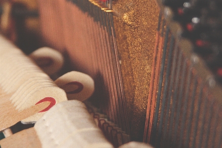 Hand music wood guitar Photo