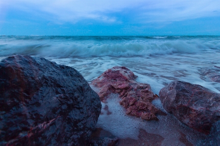 Beach sea coast nature Photo