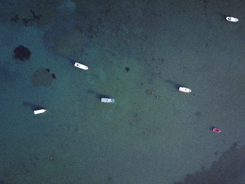 水中 地球の雰囲気
 海洋生物学
