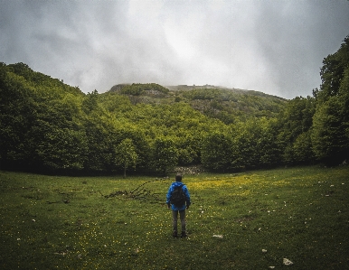 風景 自然 森 荒野
 写真