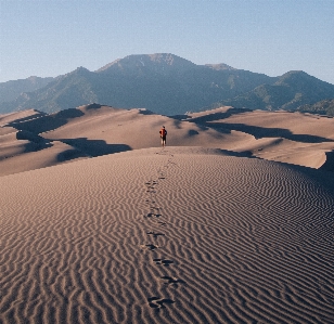 Foto Paesaggio sabbia deserto duna
