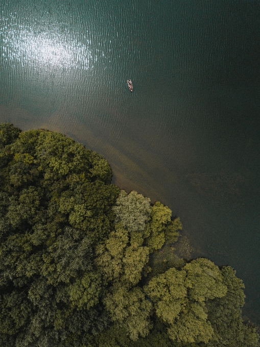 海 海岸 水 自然