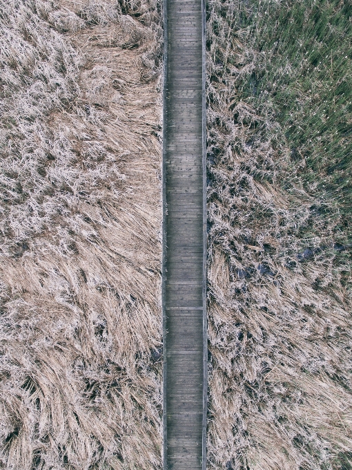 Rock 追跡 土壌 地質学