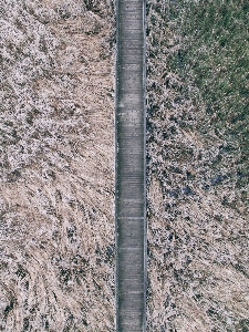 Rock 追踪 土壤 地质学 照片