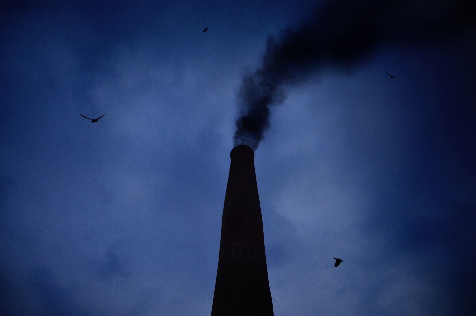 Silhouette oiseau lumière nuage