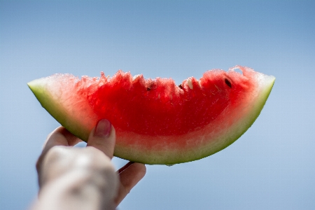 Anlage frucht essen produzieren Foto