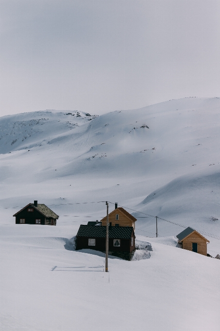 山 雪 冬天 天气