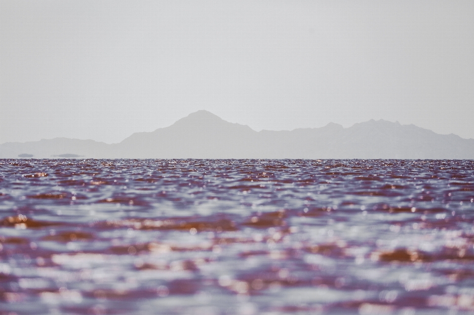 海 海岸 水 海洋