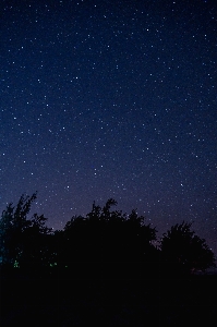 Sky night star atmosphere Photo