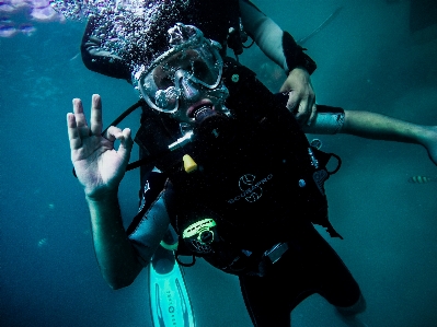 Recreation diving underwater biology Photo