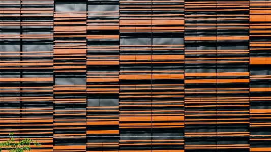 Wood texture floor wall Photo